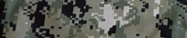 Coast Guard Camo